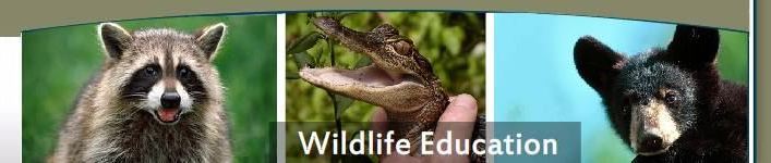 Wildlife Education